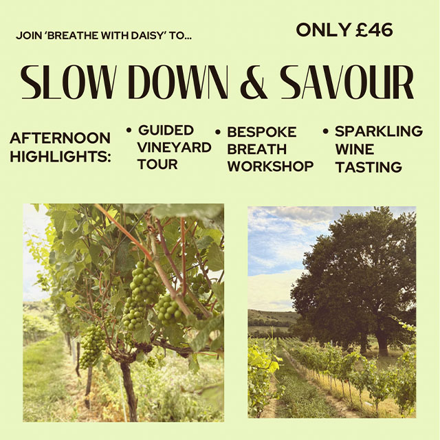 Slow Down & Savour