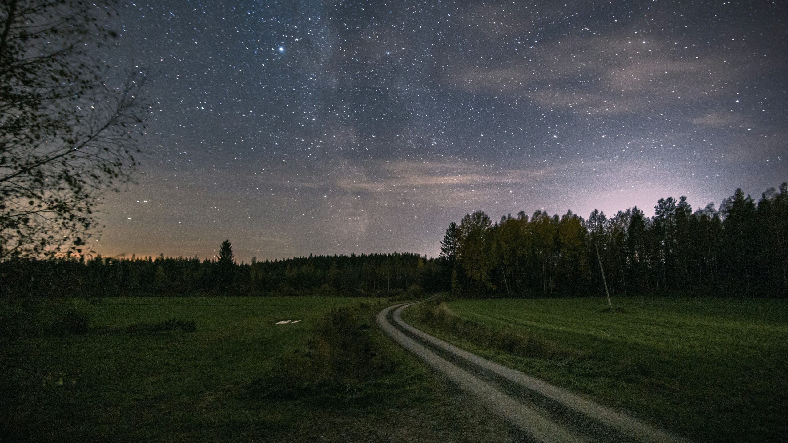 Starry night sky over a green countryside road in the South Downs